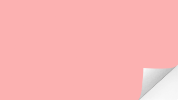 สติกเกอร์กระดาษปอนด์สีชมพูอ่อน