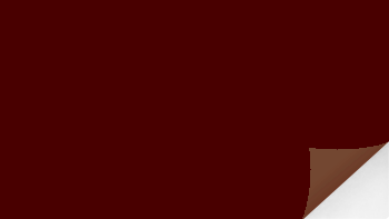 สติกเกอร์พีวีซีสีน้ำตาล