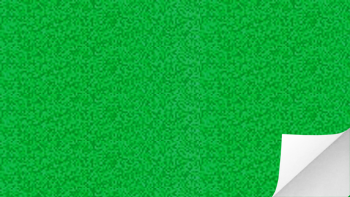 สติกเกอร์โฮโลแกรมลายเม็ดเขียวใบตอง