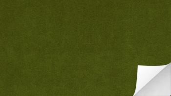 สติกเกอร์ผิวกำมะหยี่สีเขียวใบตอง