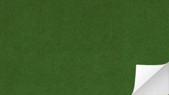 สติกเกอร์ผิวกำมะหยี่สีเขียว